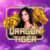Dragon Tiger Big Bet casino